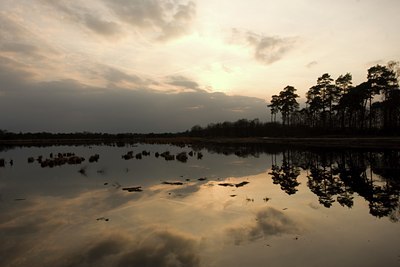 BUITEN BEELD Foto: 62597