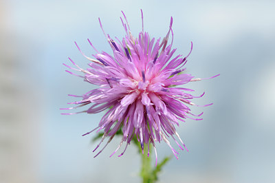 BUITEN BEELD Foto: 62612