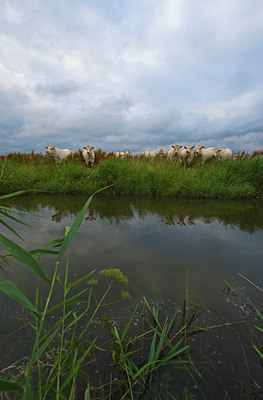 BUITEN BEELD Foto: 62664