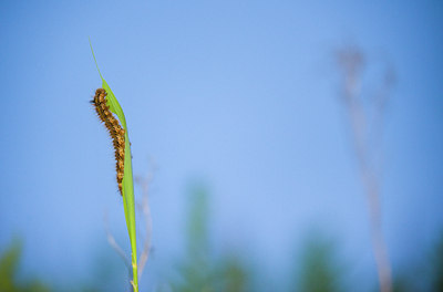 BUITEN BEELD Foto: 62672