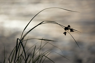 BUITEN BEELD Foto: 62704