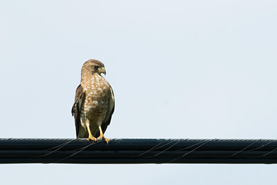 BUITEN BEELD Foto: 62819