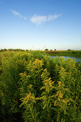 BUITEN BEELD Foto: 62867