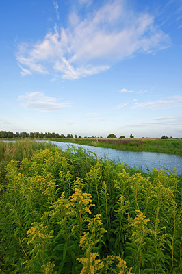 BUITEN BEELD Foto: 62868