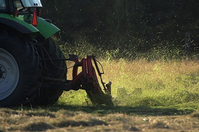 BUITEN BEELD Foto: 62877