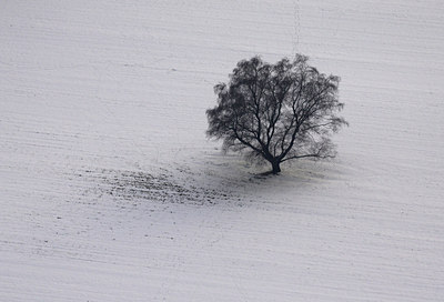 BUITEN BEELD Foto: 62886