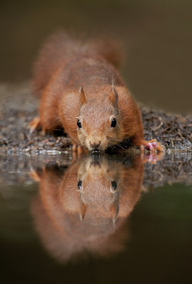 BUITEN BEELD Foto: 62978