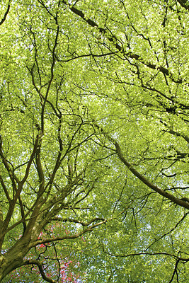 BUITEN BEELD Foto: 62980