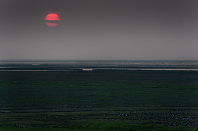 BUITEN BEELD Foto: 62990