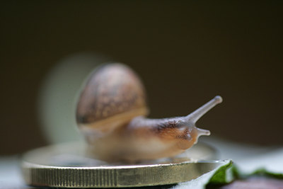 BUITEN BEELD Foto: 62999