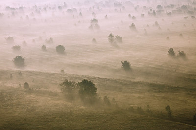 BUITEN BEELD Foto: 63015
