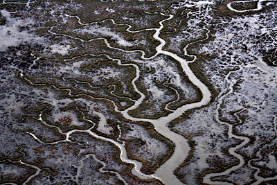 BUITEN BEELD Foto: 63044