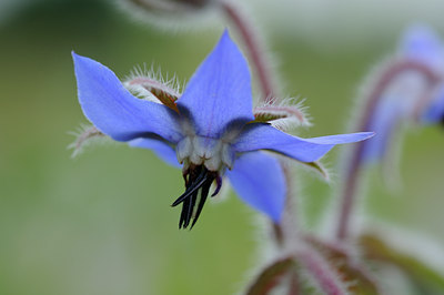 BUITEN BEELD Foto: 63055