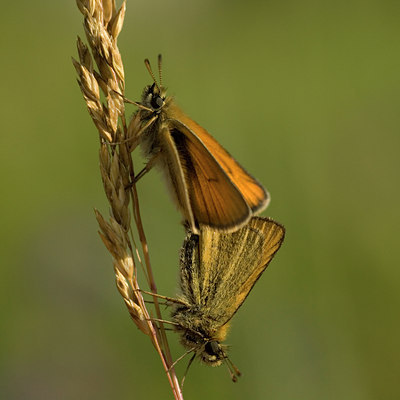 BUITEN BEELD Foto: 63152