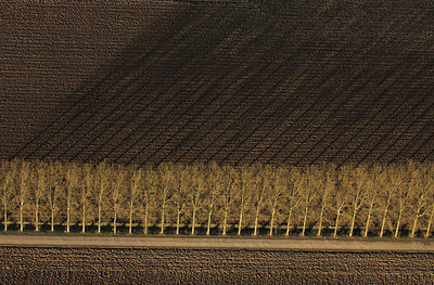 BUITEN BEELD Foto: 63177