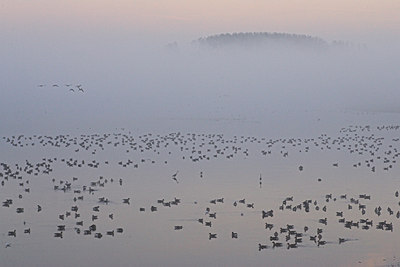 BUITEN BEELD Foto: 63193