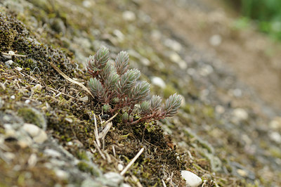 BUITEN BEELD Foto: 63230