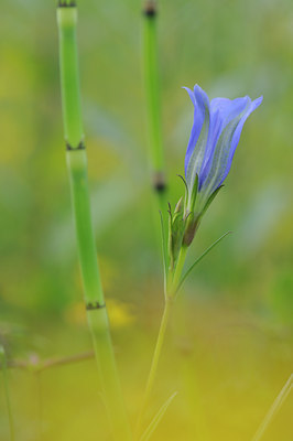 BUITEN BEELD Foto: 63233