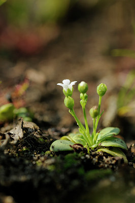 BUITEN BEELD Foto: 63235