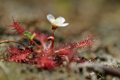 BUITEN BEELD Foto: 63239