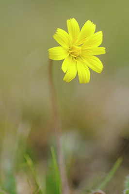 BUITEN BEELD Foto: 63242