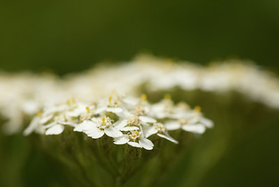 BUITEN BEELD Foto: 63280