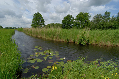 BUITEN BEELD Foto: 63299