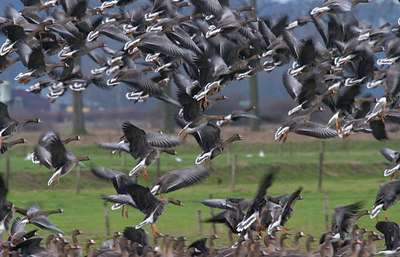 BUITEN BEELD Foto: 63313