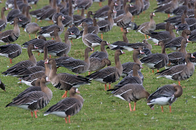 BUITEN BEELD Foto: 63314