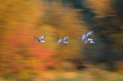 BUITEN BEELD Foto: 63325