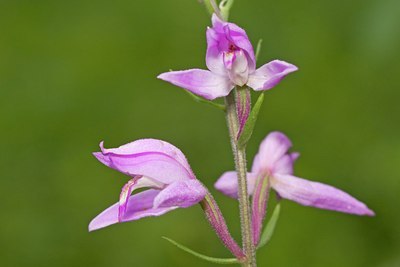 BUITEN BEELD Foto: 63361