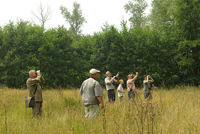BUITEN BEELD Foto: 63374