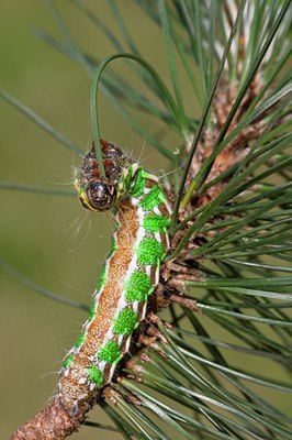 BUITEN BEELD Foto: 63387
