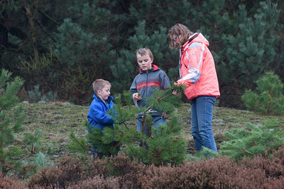 BUITEN BEELD Foto: 63401