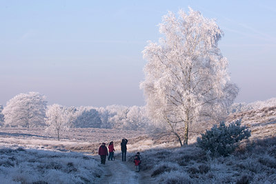 BUITEN BEELD Foto: 63410