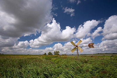 BUITEN BEELD Foto: 63507