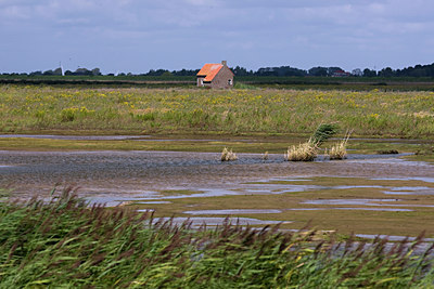 BUITEN BEELD Foto: 63508