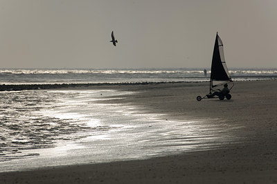 BUITEN BEELD Foto: 63510