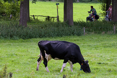 BUITEN BEELD Foto: 63512
