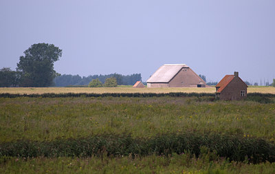 BUITEN BEELD Foto: 63520