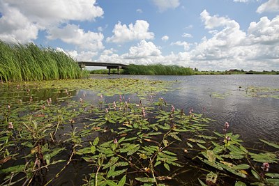 BUITEN BEELD Foto: 63528