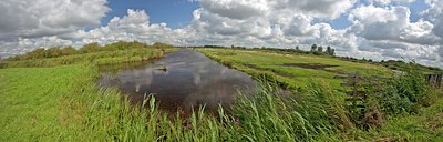 BUITEN BEELD Foto: 63534