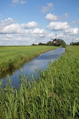 BUITEN BEELD Foto: 63537