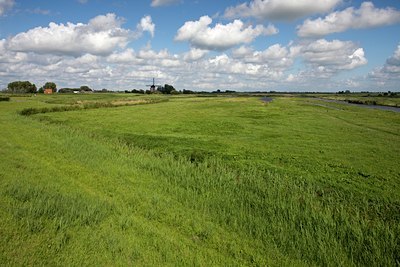 BUITEN BEELD Foto: 63538