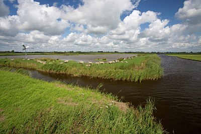 BUITEN BEELD Foto: 63539