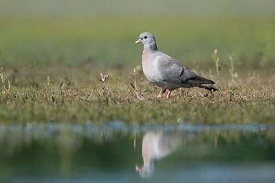 BUITEN BEELD Foto: 63543
