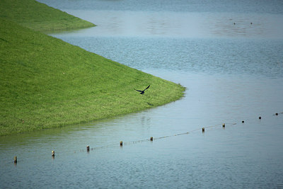 BUITEN BEELD Foto: 63569