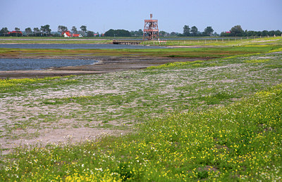 BUITEN BEELD Foto: 63583