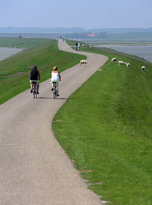 BUITEN BEELD Foto: 63586
