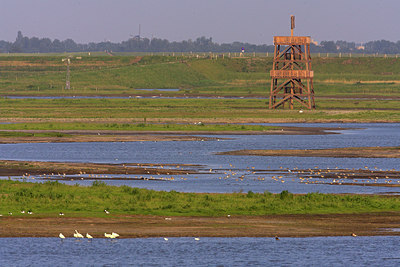 BUITEN BEELD Foto: 63593